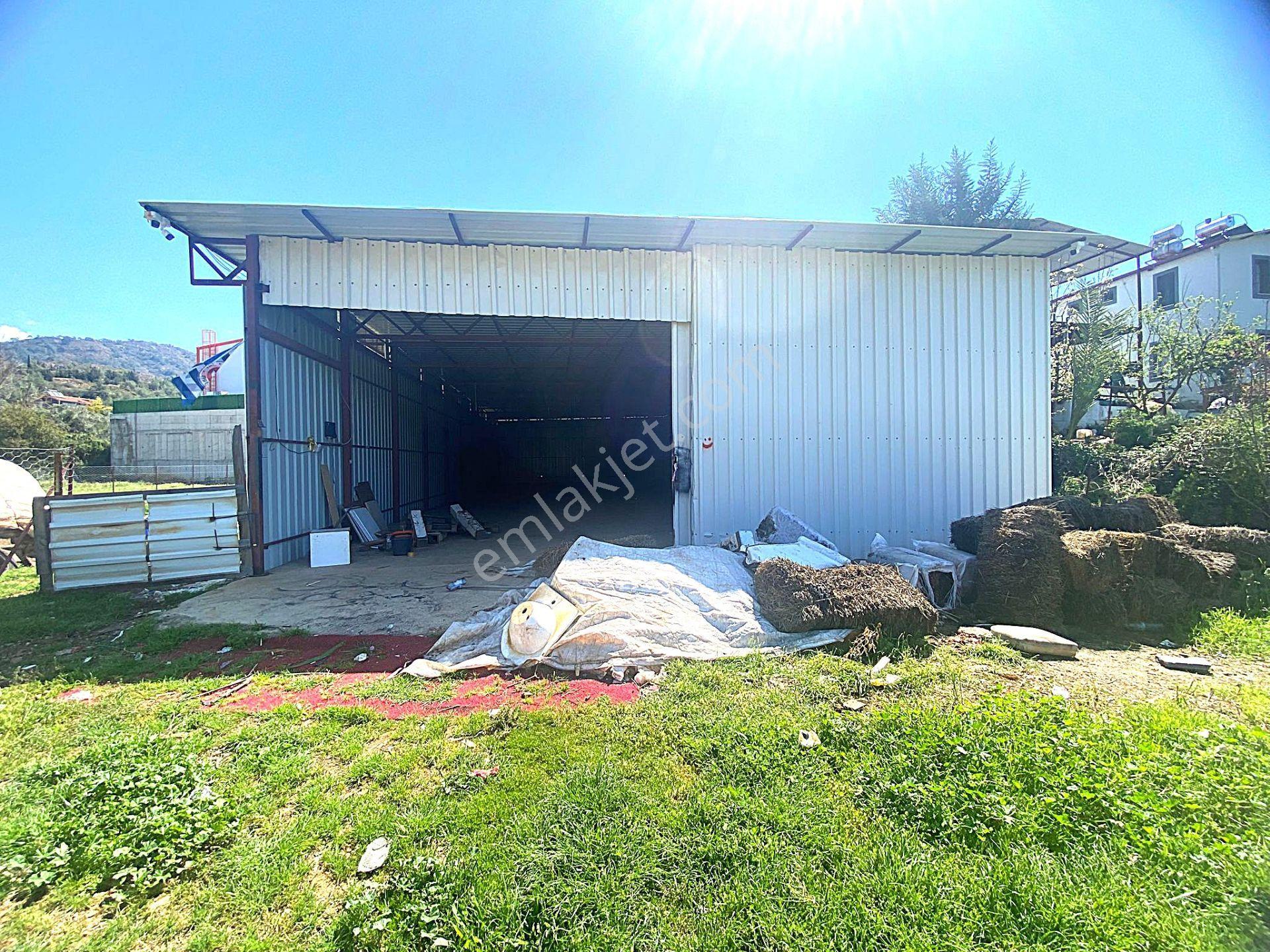 Goldhouse Dan Kiralık Fethiye Karagedik Te 300m2 Depo - Görsel 5