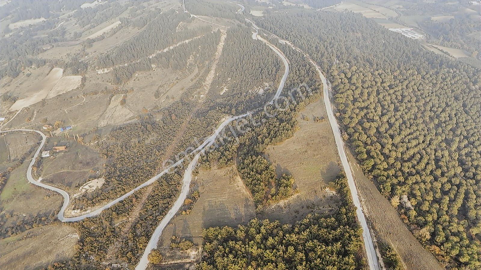 Balıkesir Altıeylül Macarlar Mahallesi Satılık Tarla - 27.787 M2 - Görsel 22