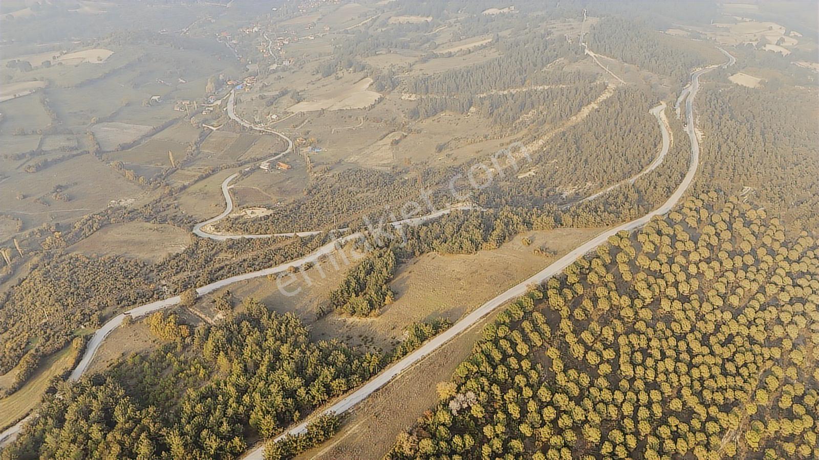 Balıkesir Altıeylül Macarlar Mahallesi Satılık Tarla - 27.787 M2 - Görsel 25