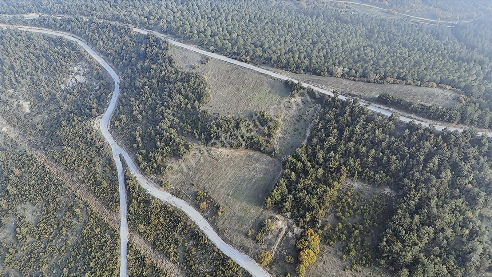 Balıkesir Altıeylül Macarlar Mahallesi Satılık Tarla - 27.787 M2 - Görsel 14