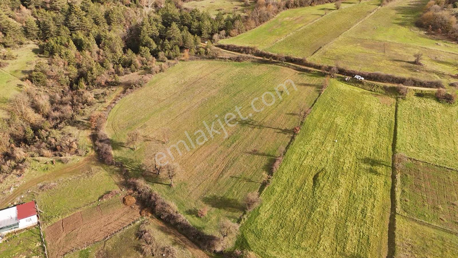 Balıkesir Kepsut Yaylabaşı Mahallesi'nde Satılık İmarlı Arsa - Görsel 4