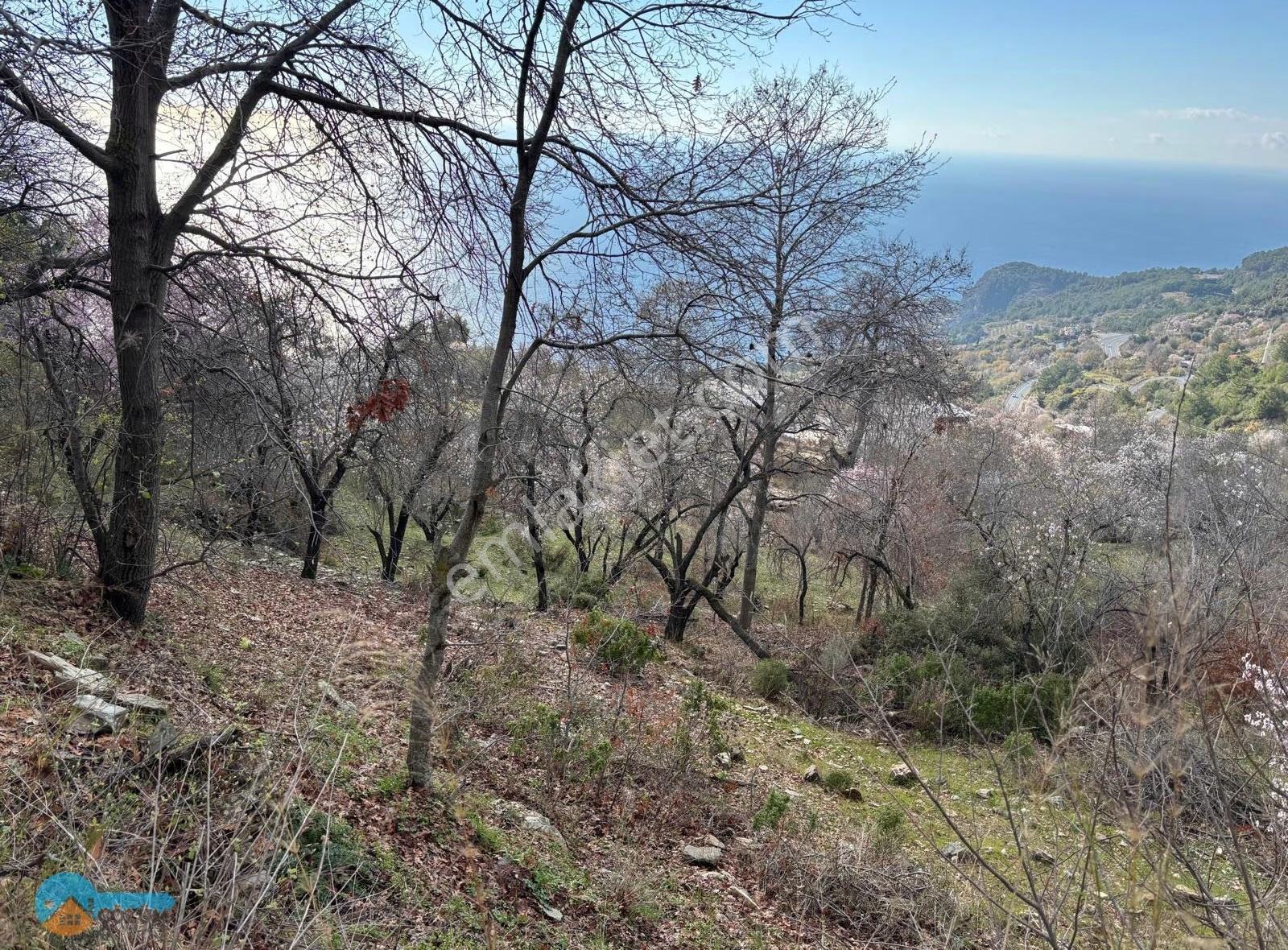 Muhteşem Deniz Manzaralı Arsa - Görsel 5