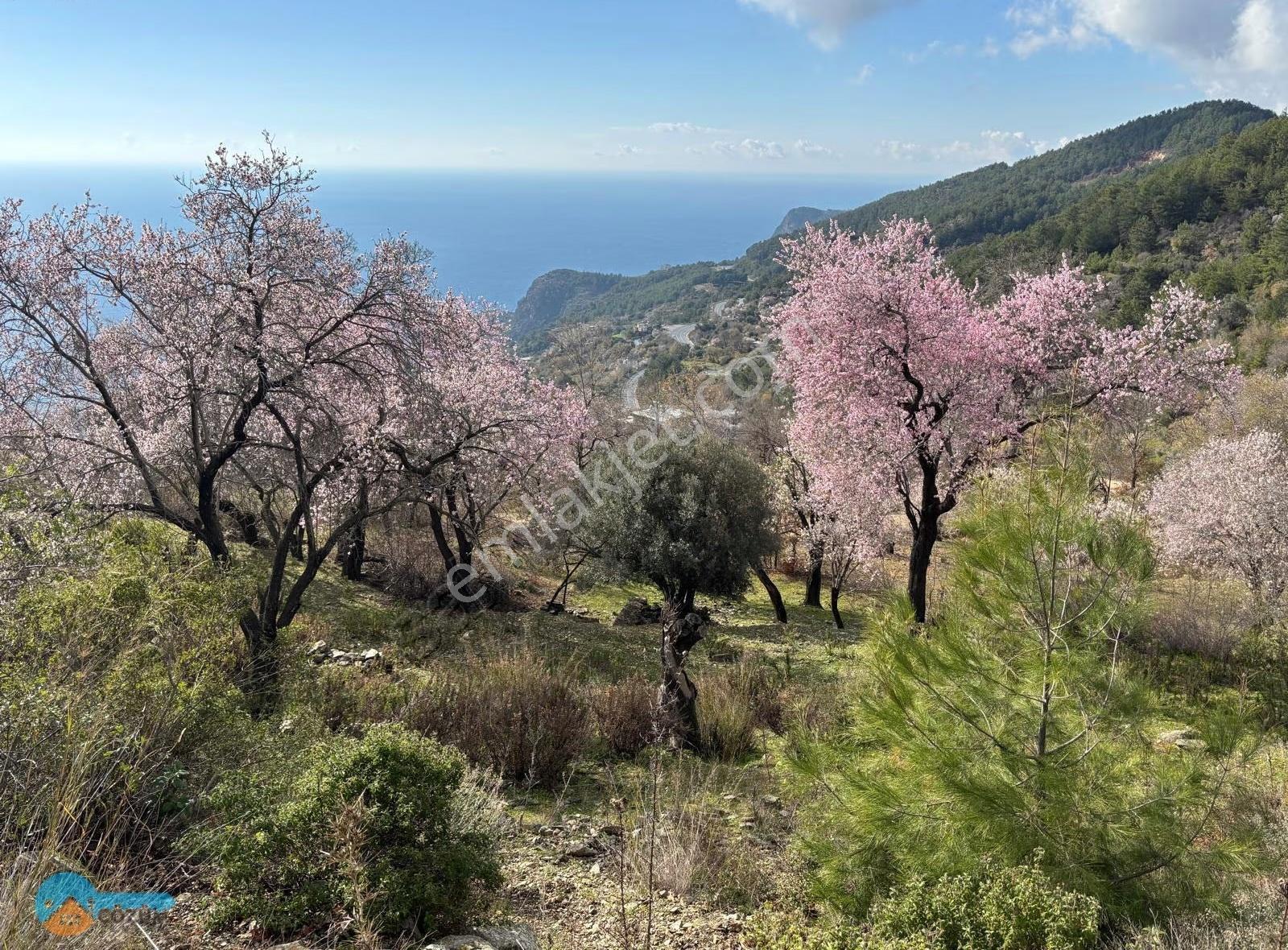 Muhteşem Deniz Manzaralı Arsa