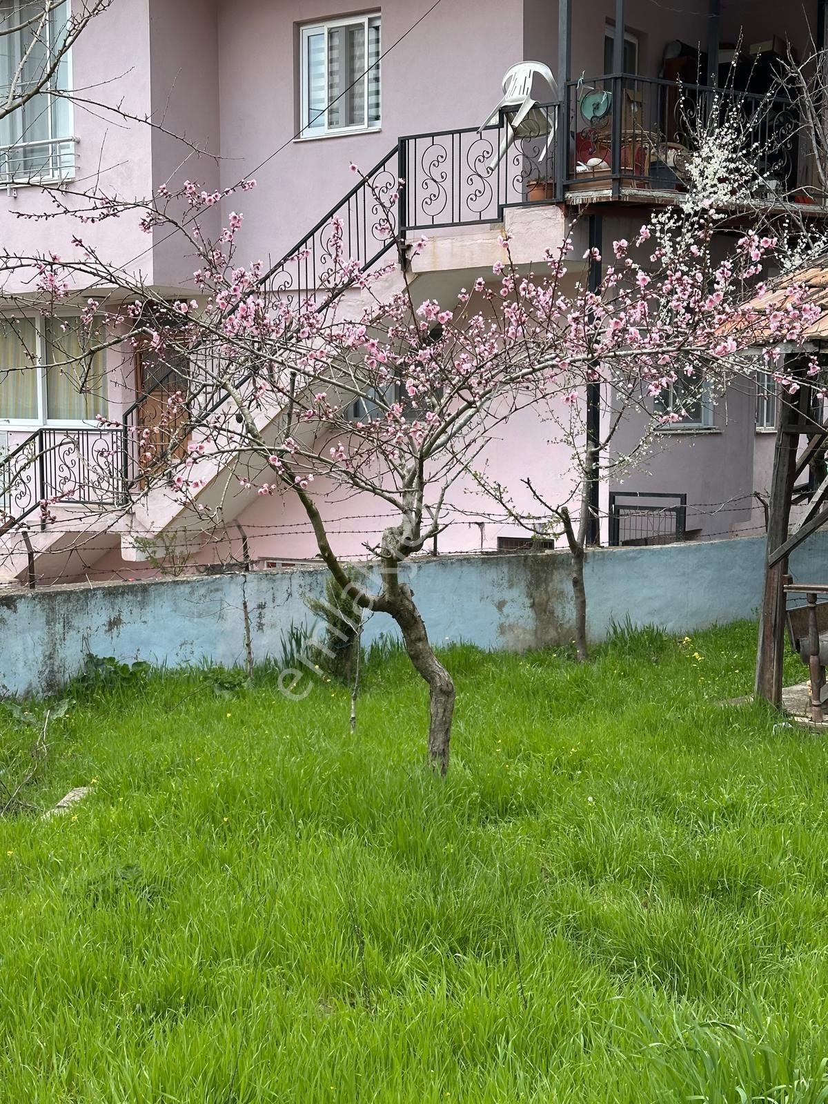Gözne'de Satılık Yayla Evi - Görsel 6