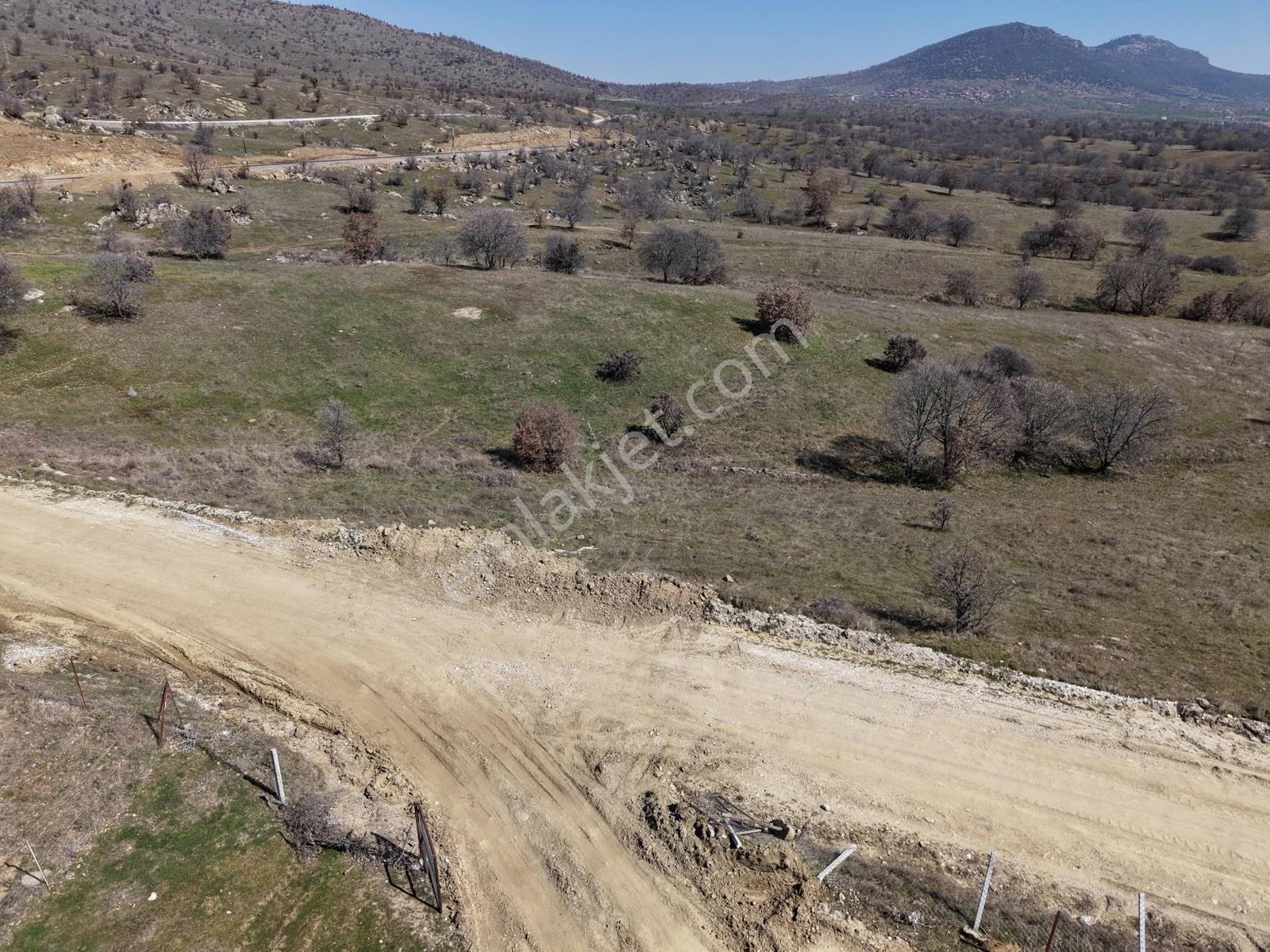 Eşme Güneyköyde Verimli Tarla Elektrik/su/yol Mevcut. - Görsel 16