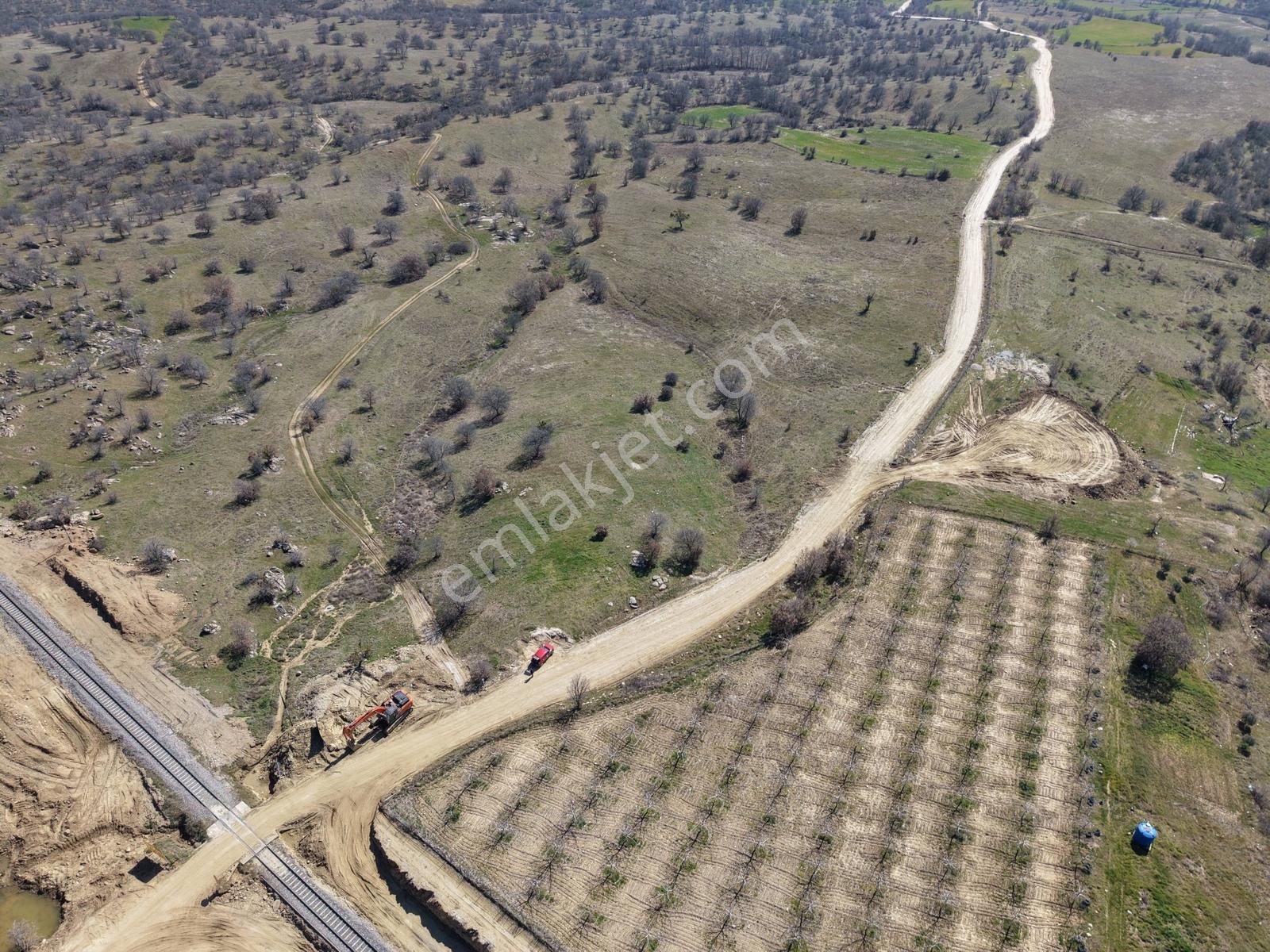 Eşme Güneyköyde Verimli Tarla Elektrik/su/yol Mevcut. - Görsel 3