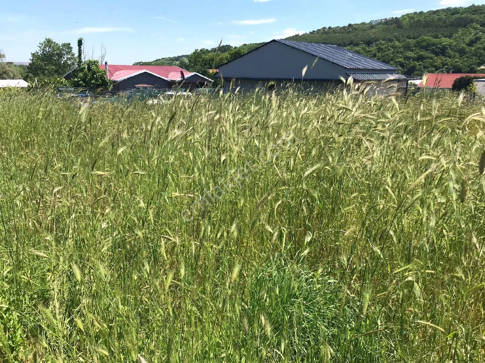 İstanbul Çatalca İnceğiz Mahallesinde 692 M2 Satılık Tarla - Görsel 2