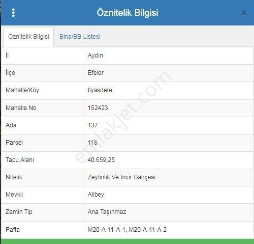 Aydın Efeler İlyasdere Köyünde Satılık Zeytinlik - Görsel 13