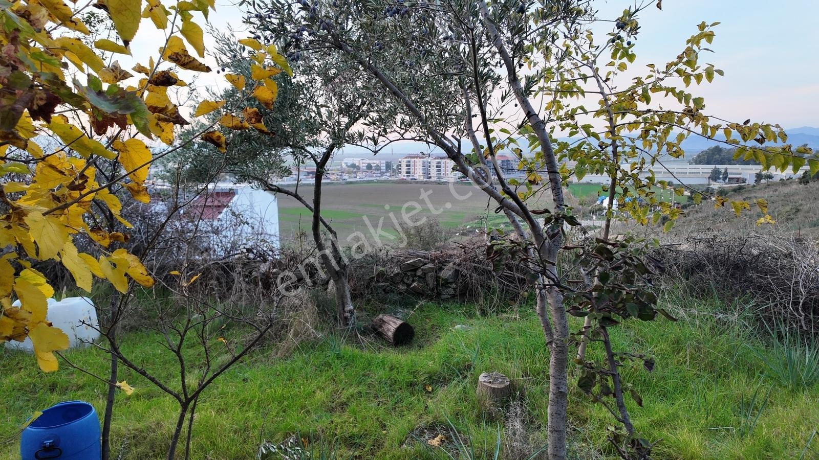 Koçarlı / Gündoğan Mahallesi'nde 235 M2 Villa İmarlı Arsa - Görsel 7