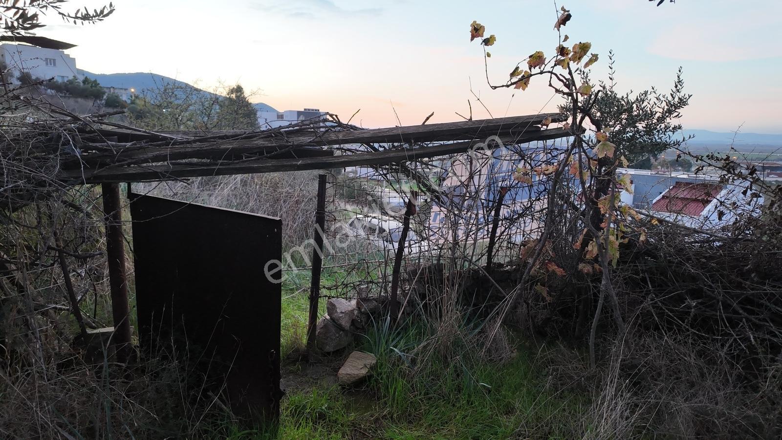 Koçarlı / Gündoğan Mahallesi'nde 235 M2 Villa İmarlı Arsa - Görsel 16