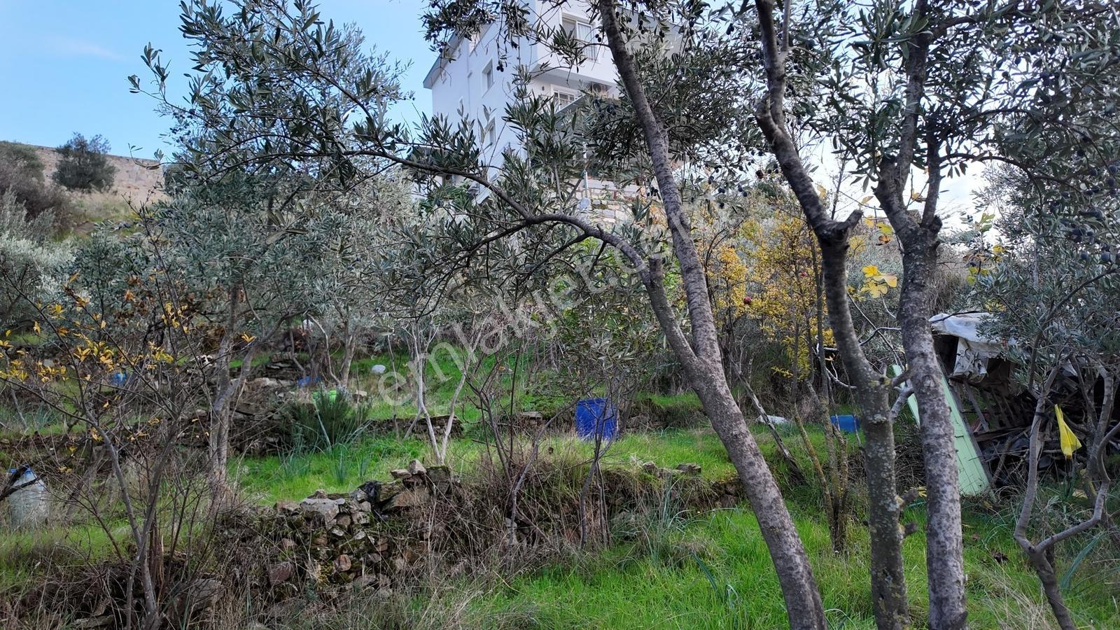 Koçarlı / Gündoğan Mahallesi'nde 235 M2 Villa İmarlı Arsa - Görsel 8