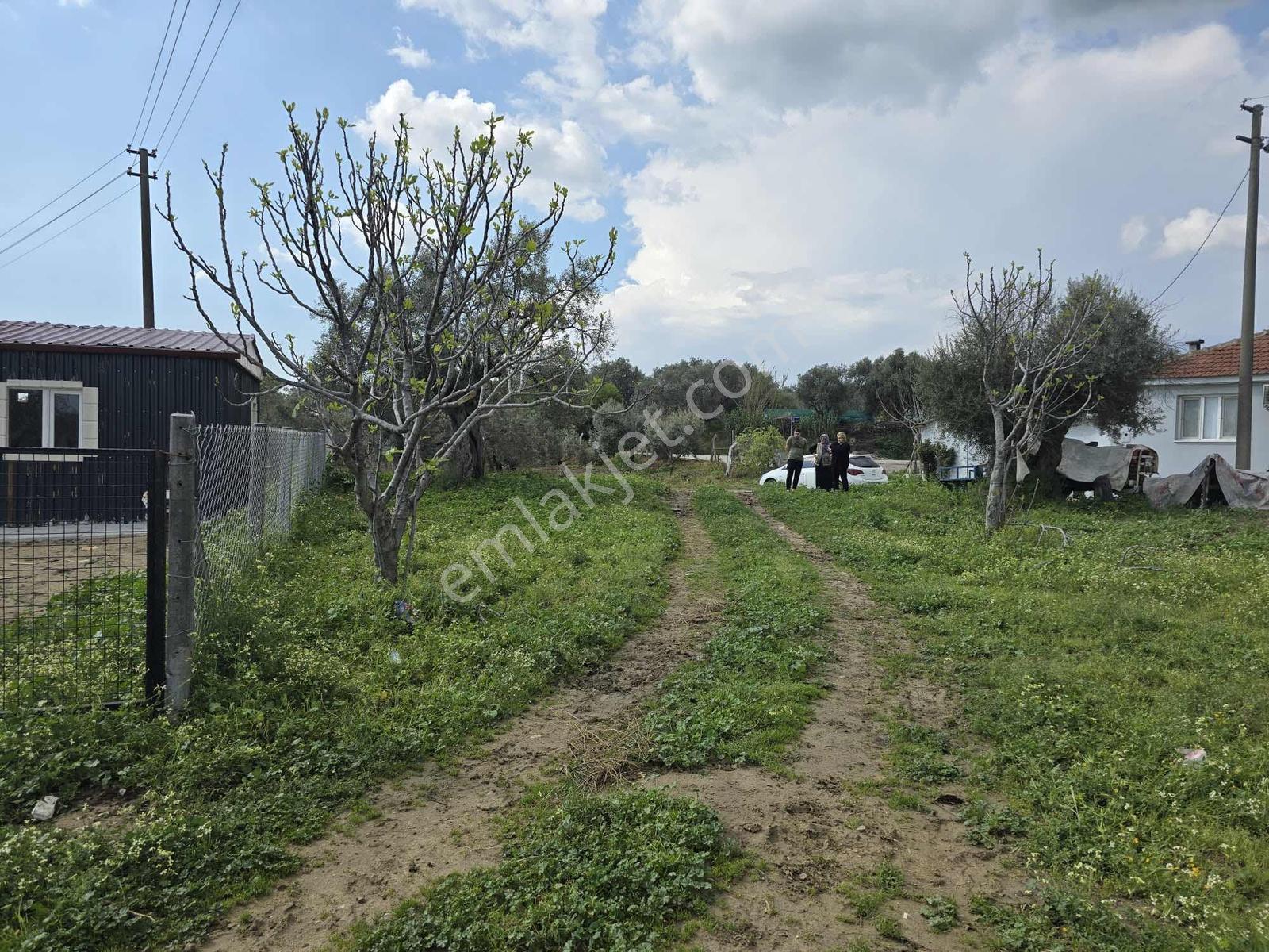 Aydın Germencik Hıdırbeylide 255 M² Satılık Arsa Tek Tapu - Görsel 7