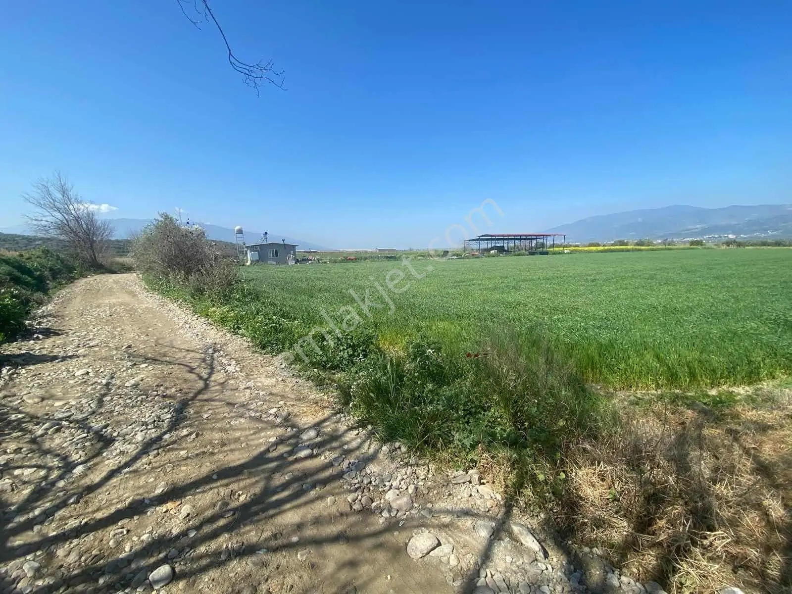 Aydın Kuyucak Yamalak 'ta 6.601 M² Müstakil Tapulu Satılık Tarla - Görsel 14