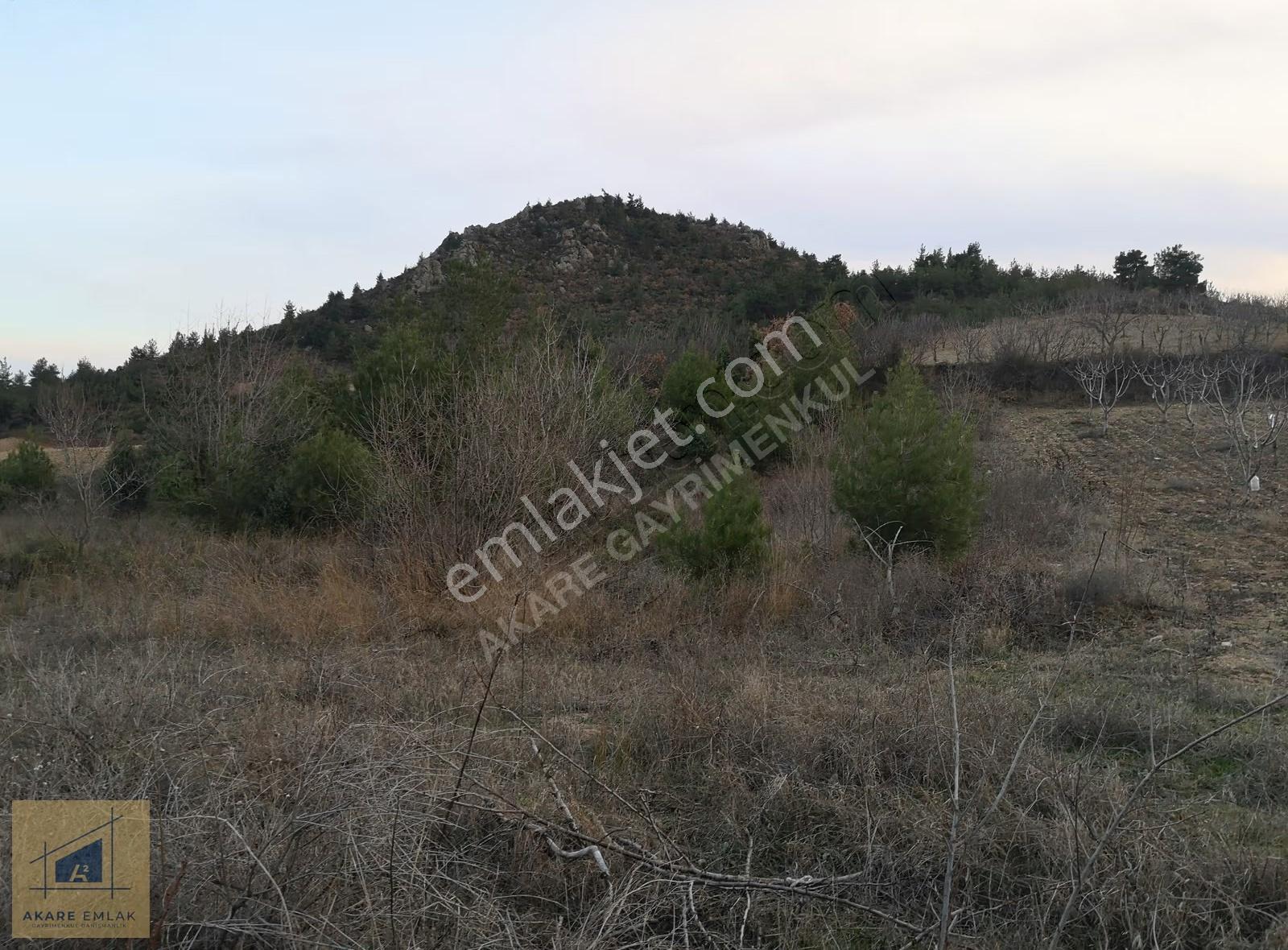 Bilecik Söğüt Küre Köyü'nde 2046m² Kadastro Yollu Tarla - Görsel 14