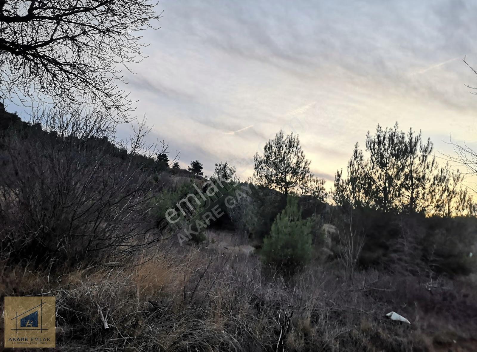 Bilecik Söğüt Küre Köyü'nde 2046m² Kadastro Yollu Tarla - Görsel 15