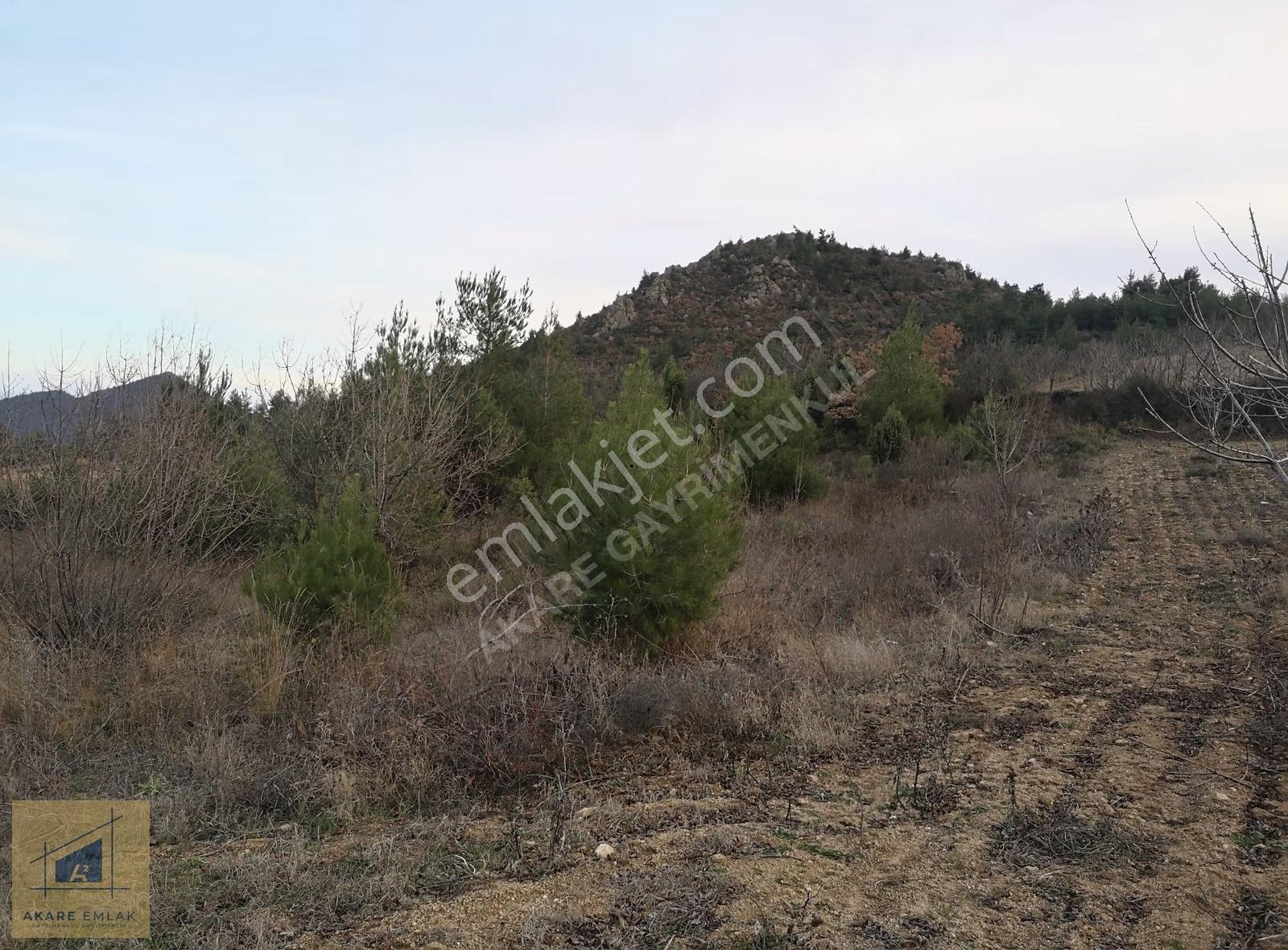 Bilecik Söğüt Küre Köyü'nde 2046m² Kadastro Yollu Tarla - Görsel 11