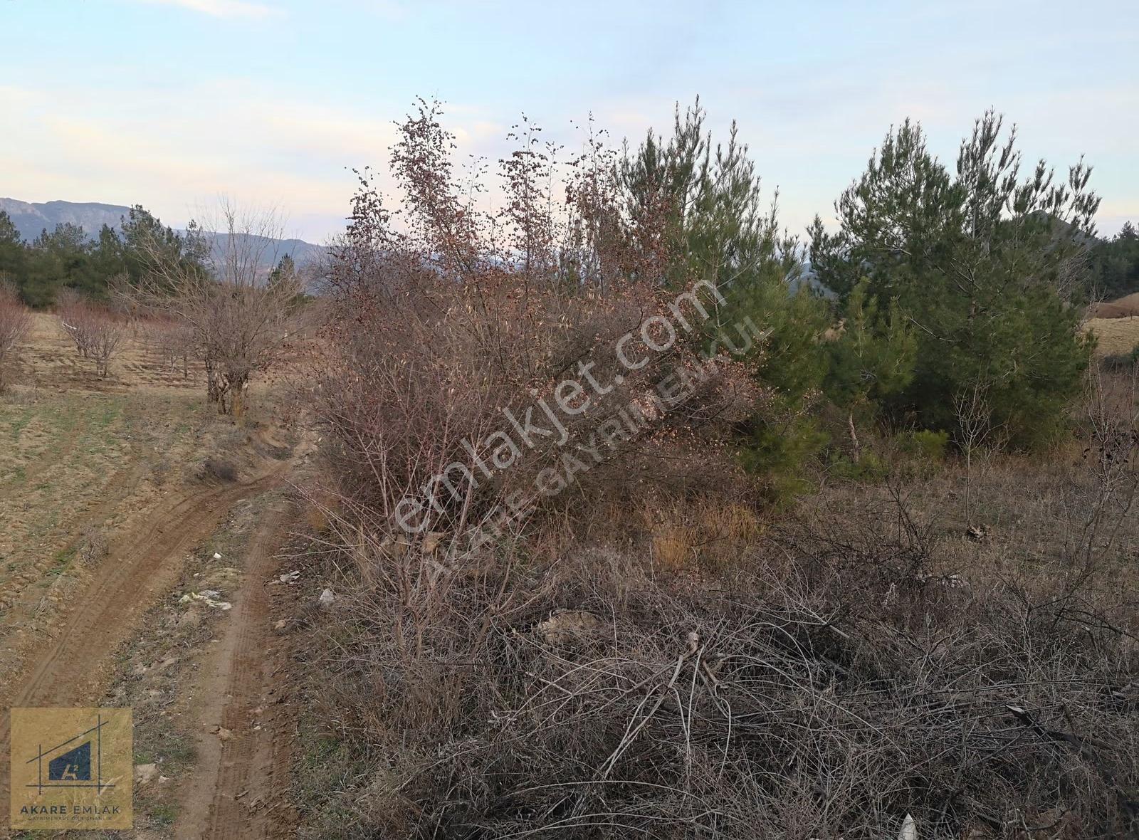 Bilecik Söğüt Küre Köyü'nde 2046m² Kadastro Yollu Tarla - Görsel 2
