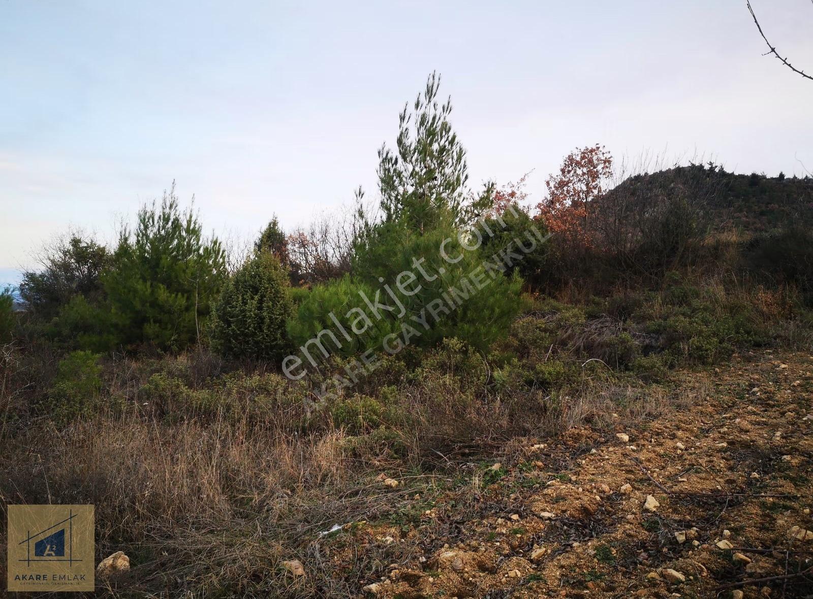 Bilecik Söğüt Küre Köyü'nde 2046m² Kadastro Yollu Tarla - Görsel 7