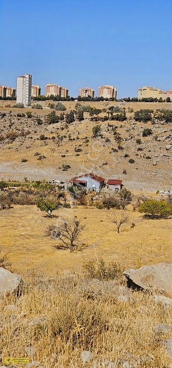 Doguş Group Gayrimenkul Den Toki Demokrasi De Bahce Fırsatı - Görsel 8
