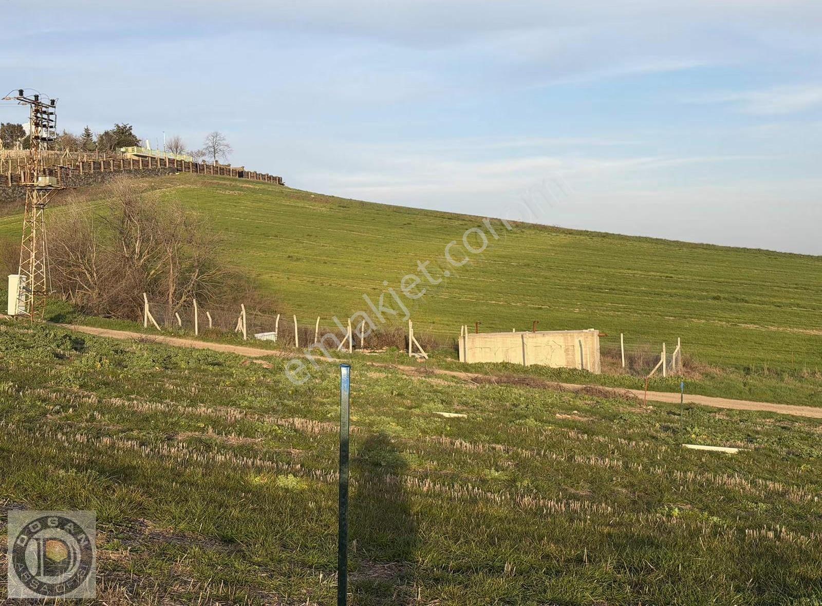 Deniz Mazaralı Satılık 250-500-750 Ve 1.000m² Arsalar - Görsel 3