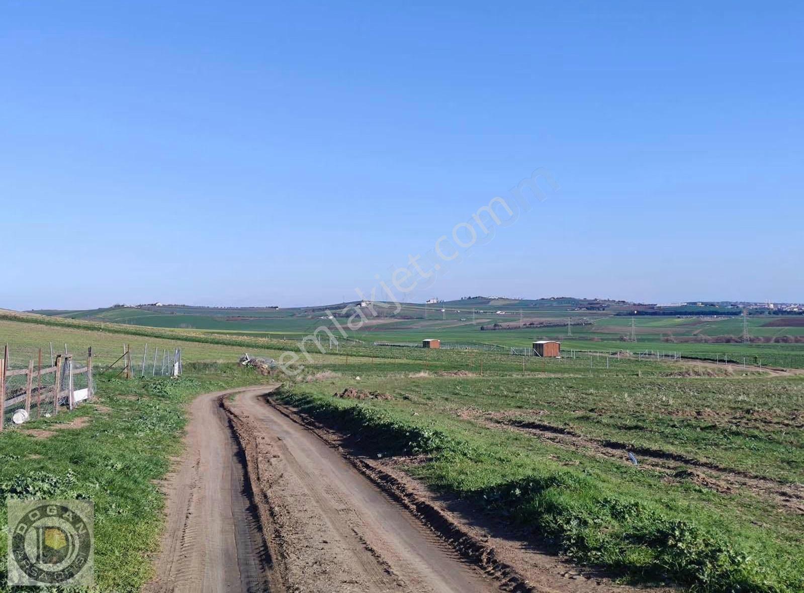 Deniz Mazaralı Satılık 250-500-750 Ve 1.000m² Arsalar - Görsel 8