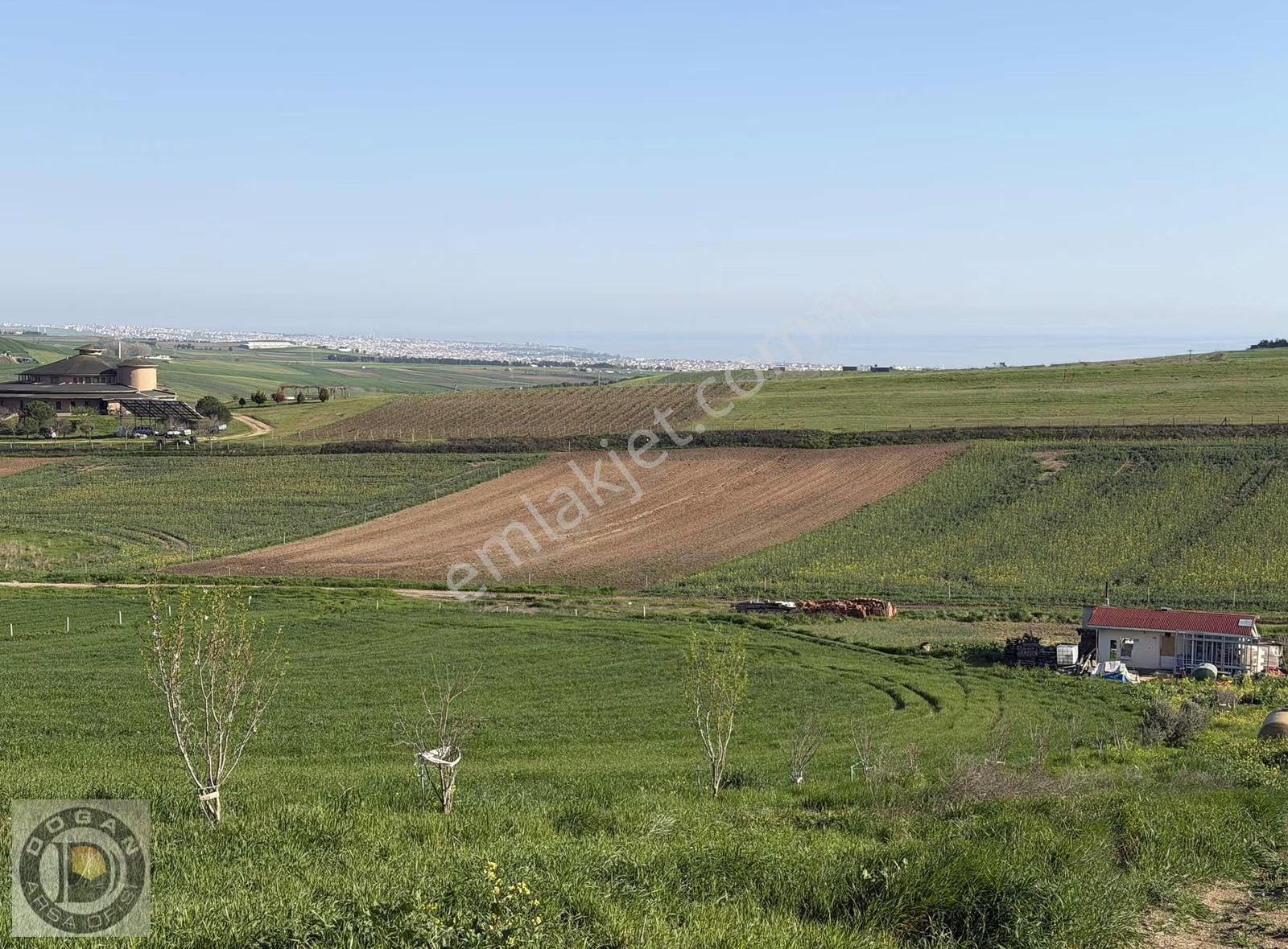 Deniz Mazaralı Satılık 250-500-750 Ve 1.000m² Arsalar - Görsel 10
