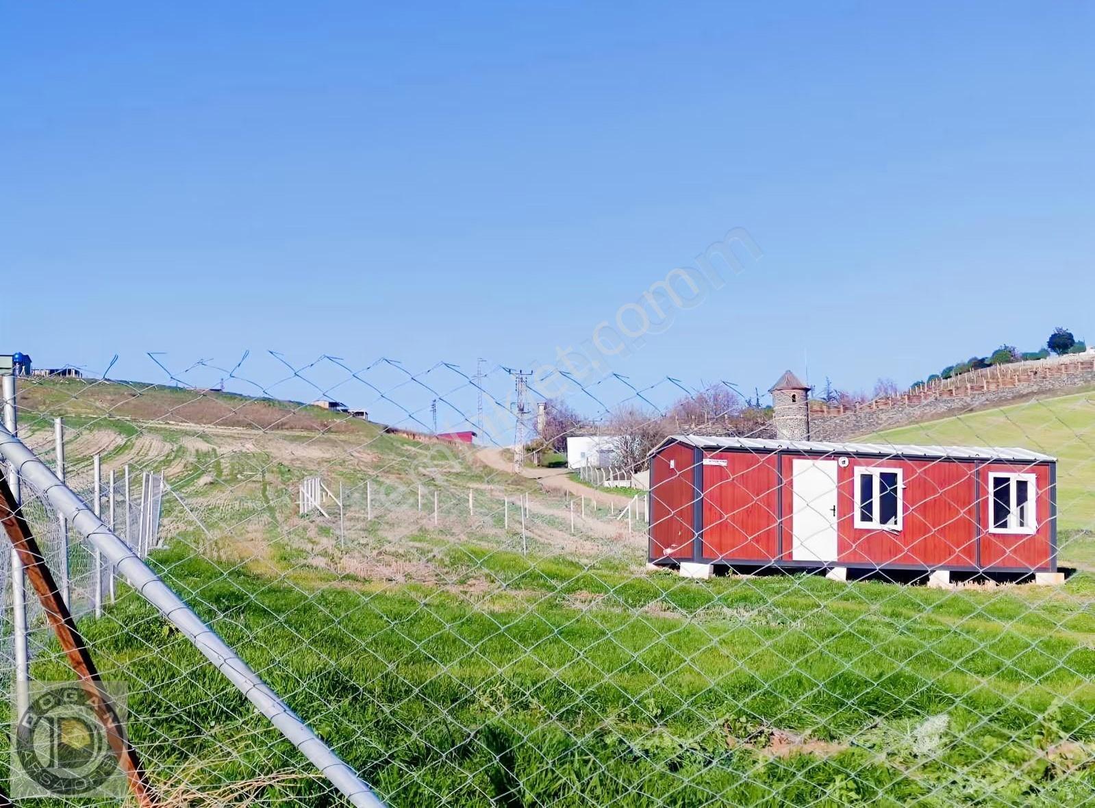 Deniz Mazaralı Satılık 250-500-750 Ve 1.000m² Arsalar - Görsel 9
