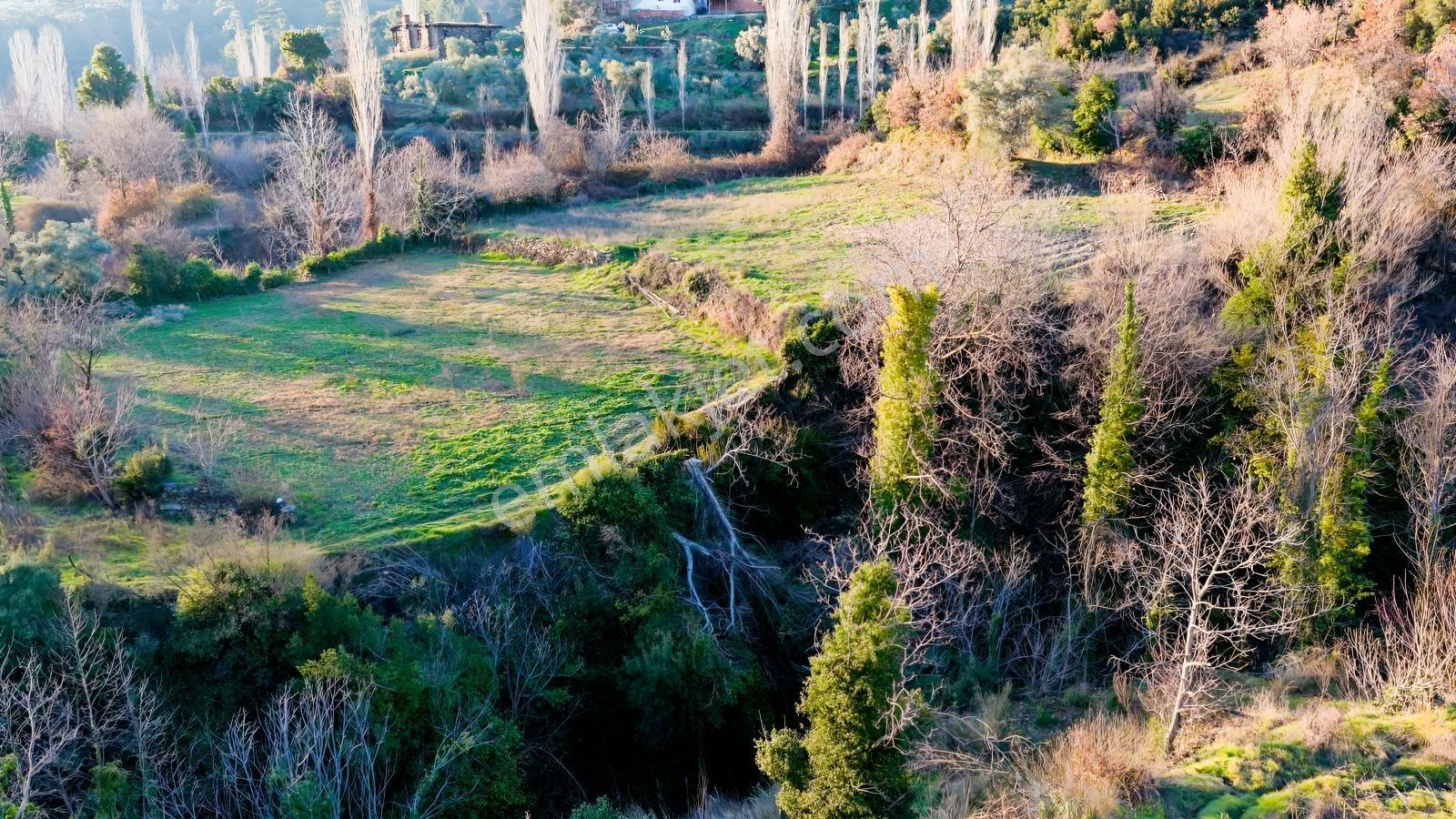 Doğayla İç İçe , Huzurlu Konumda 3,519,15 M² Satılık Tarla - Görsel 5