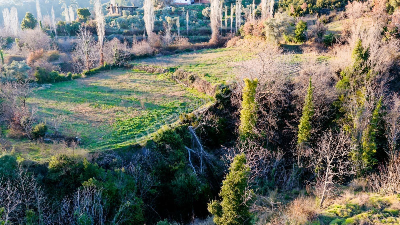 Doğayla İç İçe , Huzurlu Konumda 3,519,15 M² Satılık Tarla - Görsel 17