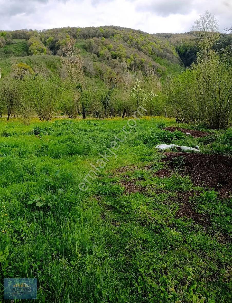 Sakarya Hendek Çamlıca Mh.arsa - Görsel 2