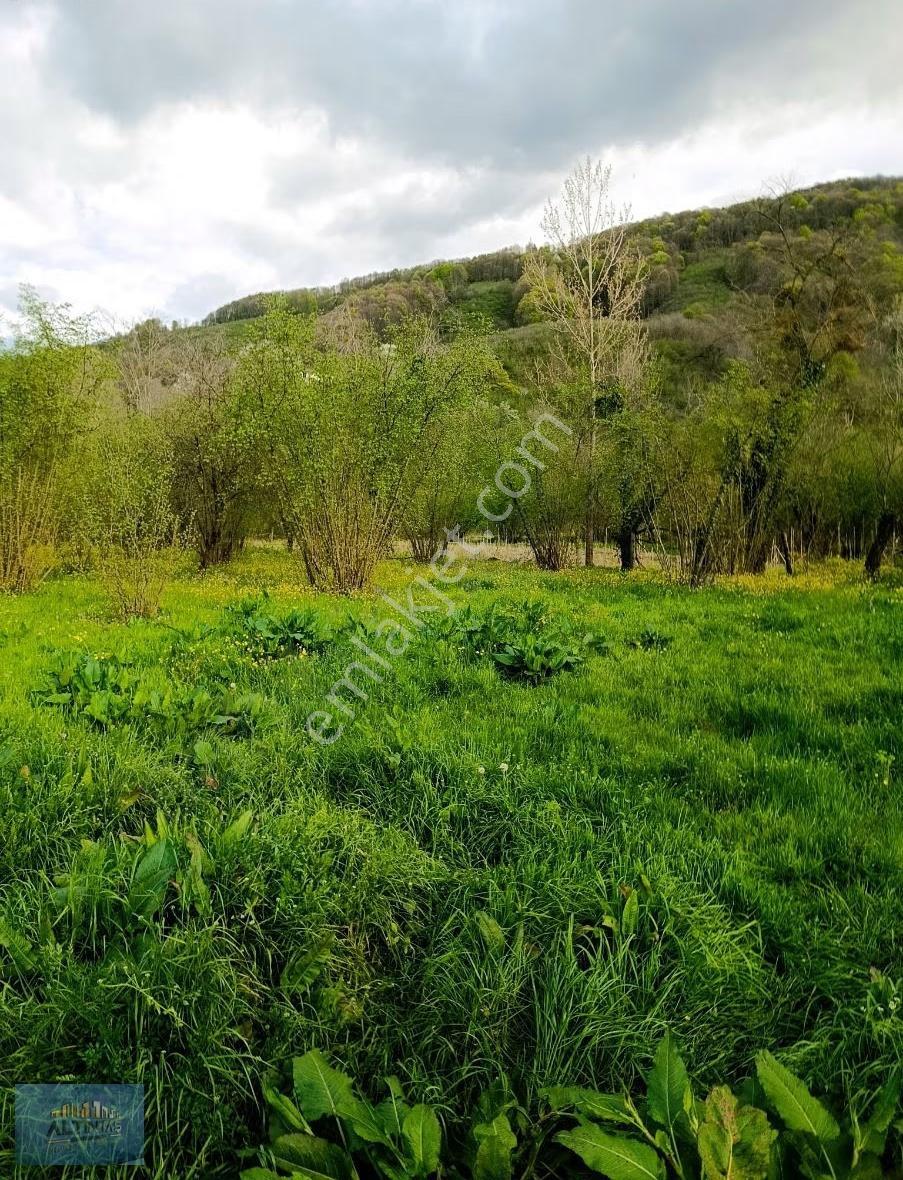 Sakarya Hendek Çamlıca Mh.arsa