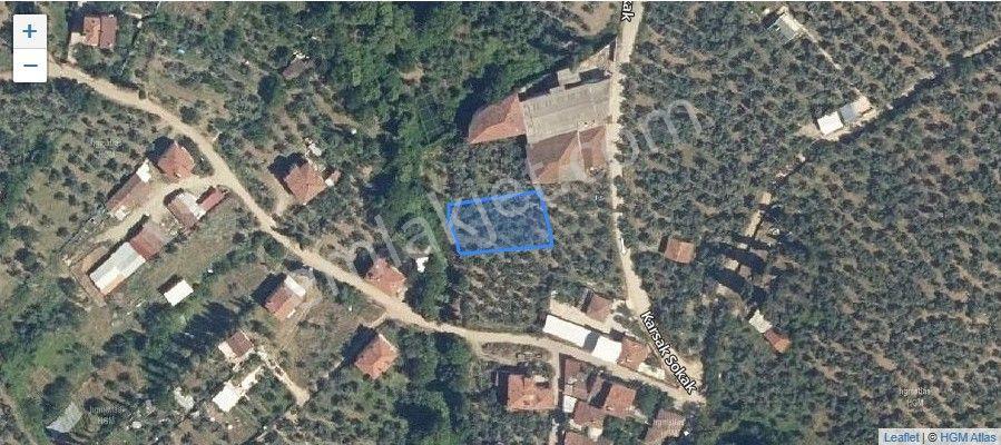 Köy Girişi Etrafı Yapılaşmış Eski Yağhane Yanı Kaçırılmayacak Fırsat Arsa - Görsel 11