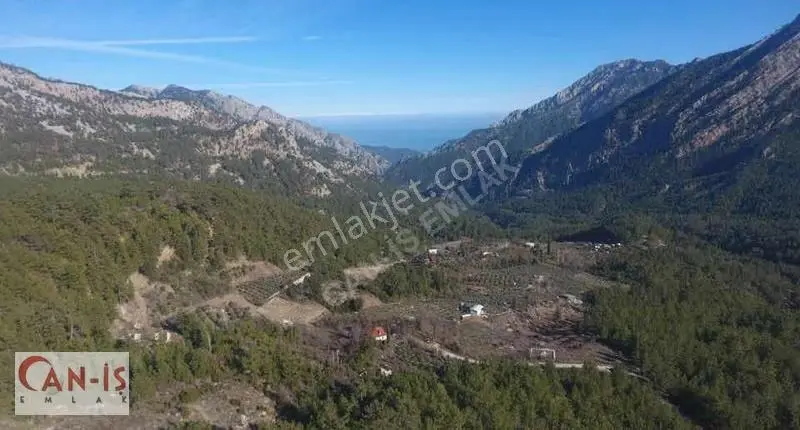 Kemer Ovacık 4.000m2 Deniz Manzaralı Tarla Yolu Açık Caniş Emlak