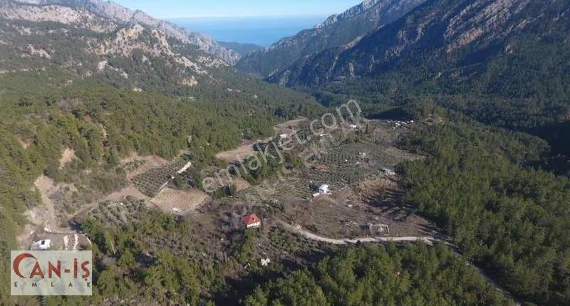 Kemer Ovacık 4.000m2 Deniz Manzaralı Tarla Yolu Açık Caniş Emlak - Görsel 6