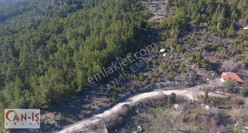 Kemer Ovacık 4.000m2 Deniz Manzaralı Tarla Yolu Açık Caniş Emlak - Görsel 3