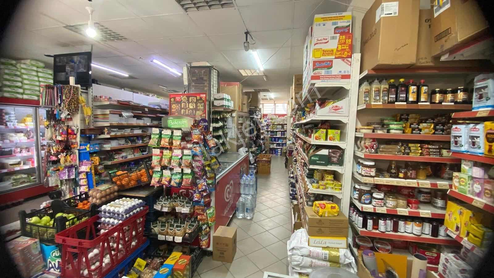 Yüksek Cirolu Çam Market Devren Kiralık - Görsel 4