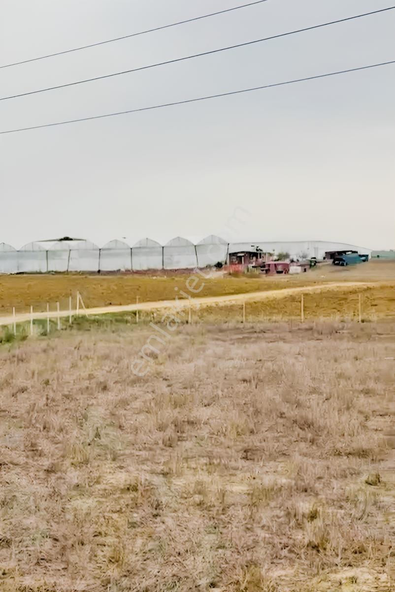 Sarıçam Hocallı Satılık Tek Tapu Tarla-etrafı Çevrili.