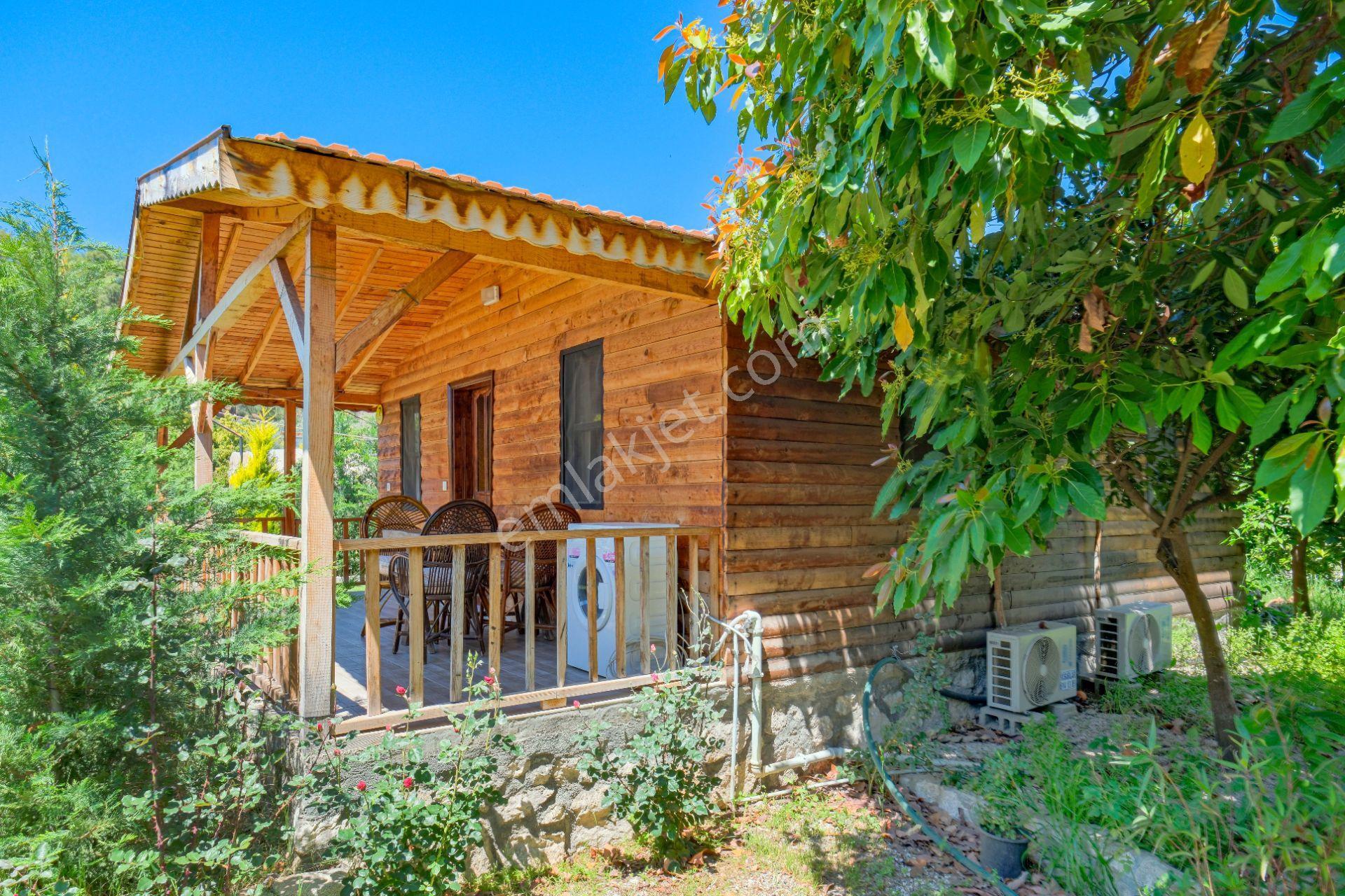 Fethiye Kargı Mah. Doğa İçinde 12 Ay İçin Kiralık Ağaç Ev Bungalow - Görsel 14