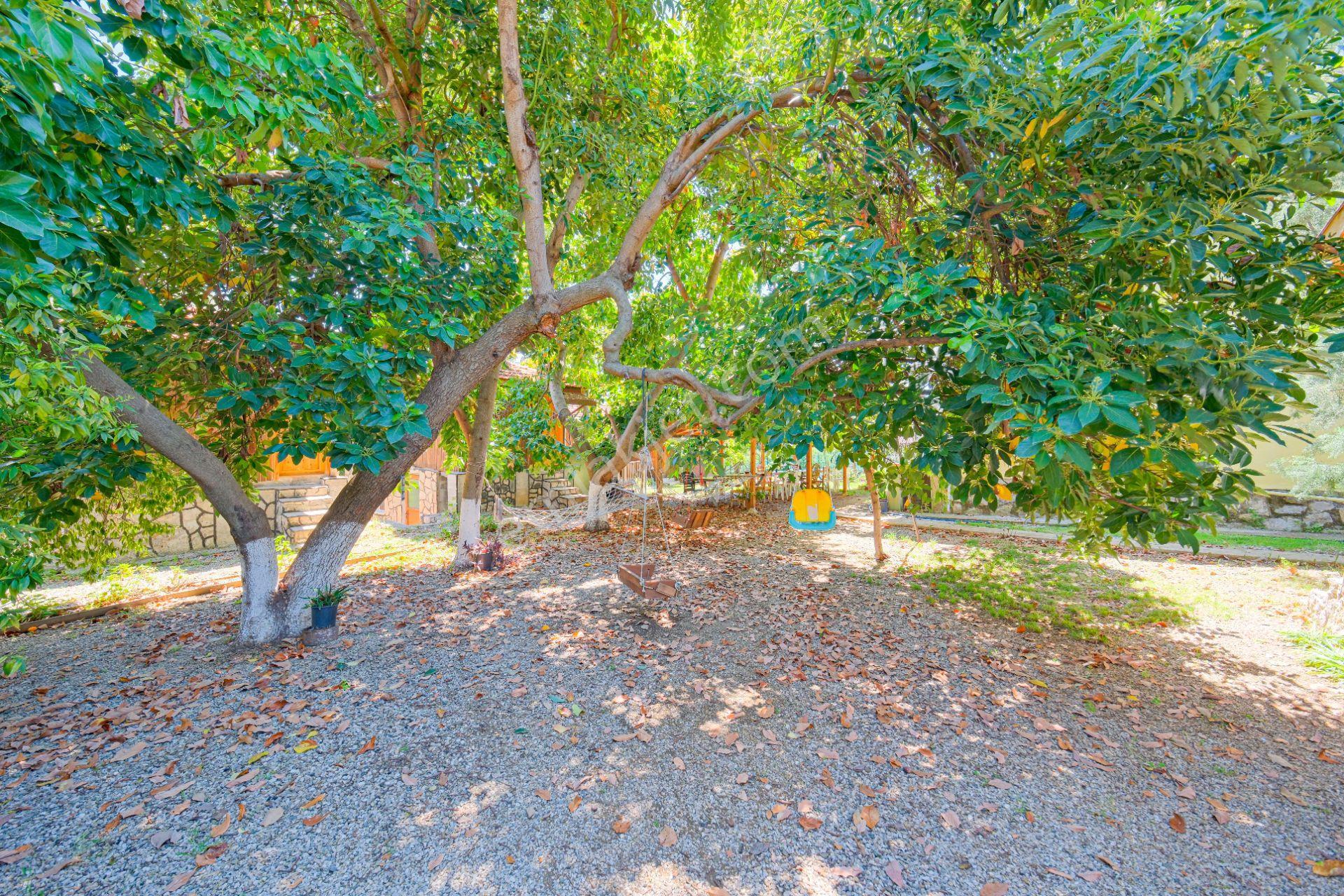 Fethiye Kargı Mah. Doğa İçinde 12 Ay İçin Kiralık Ağaç Ev Bungalow - Görsel 20