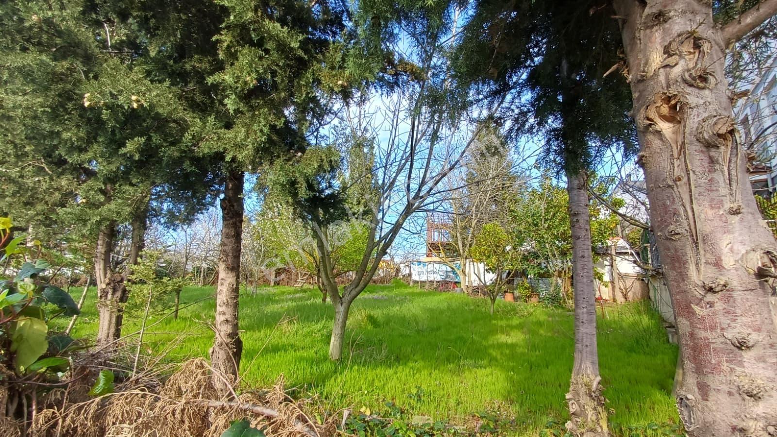 Cb Akademi Kabaoğlunda Deniz Manzaralı Köşe Parsel Villa İmarlı - Görsel 26