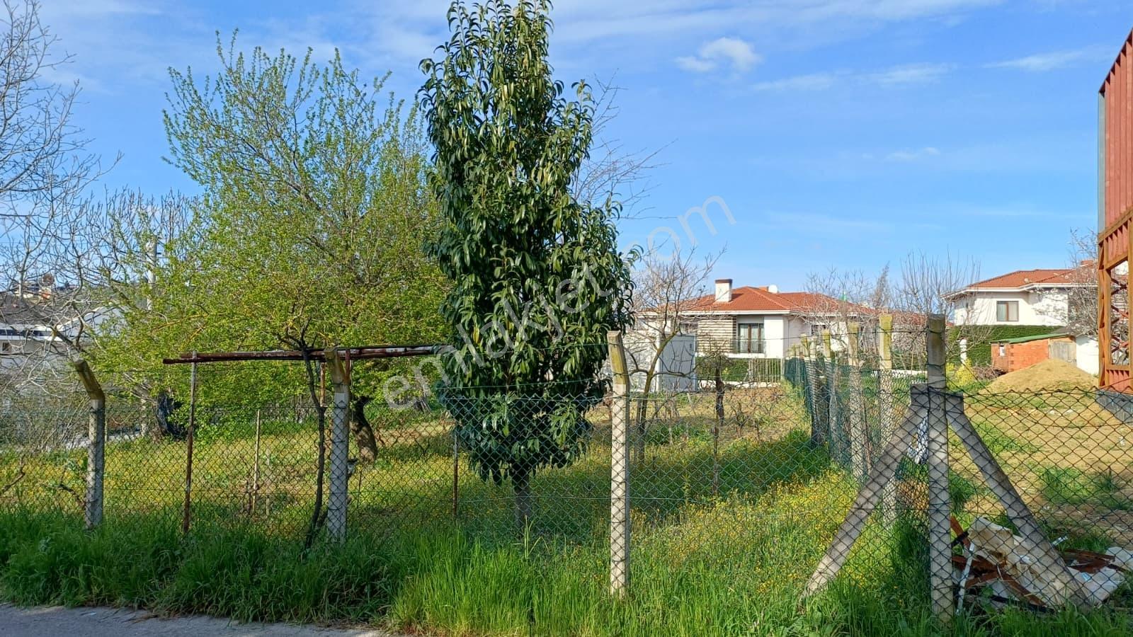 Cb Akademi Kabaoğlunda Deniz Manzaralı Köşe Parsel Villa İmarlı - Görsel 25