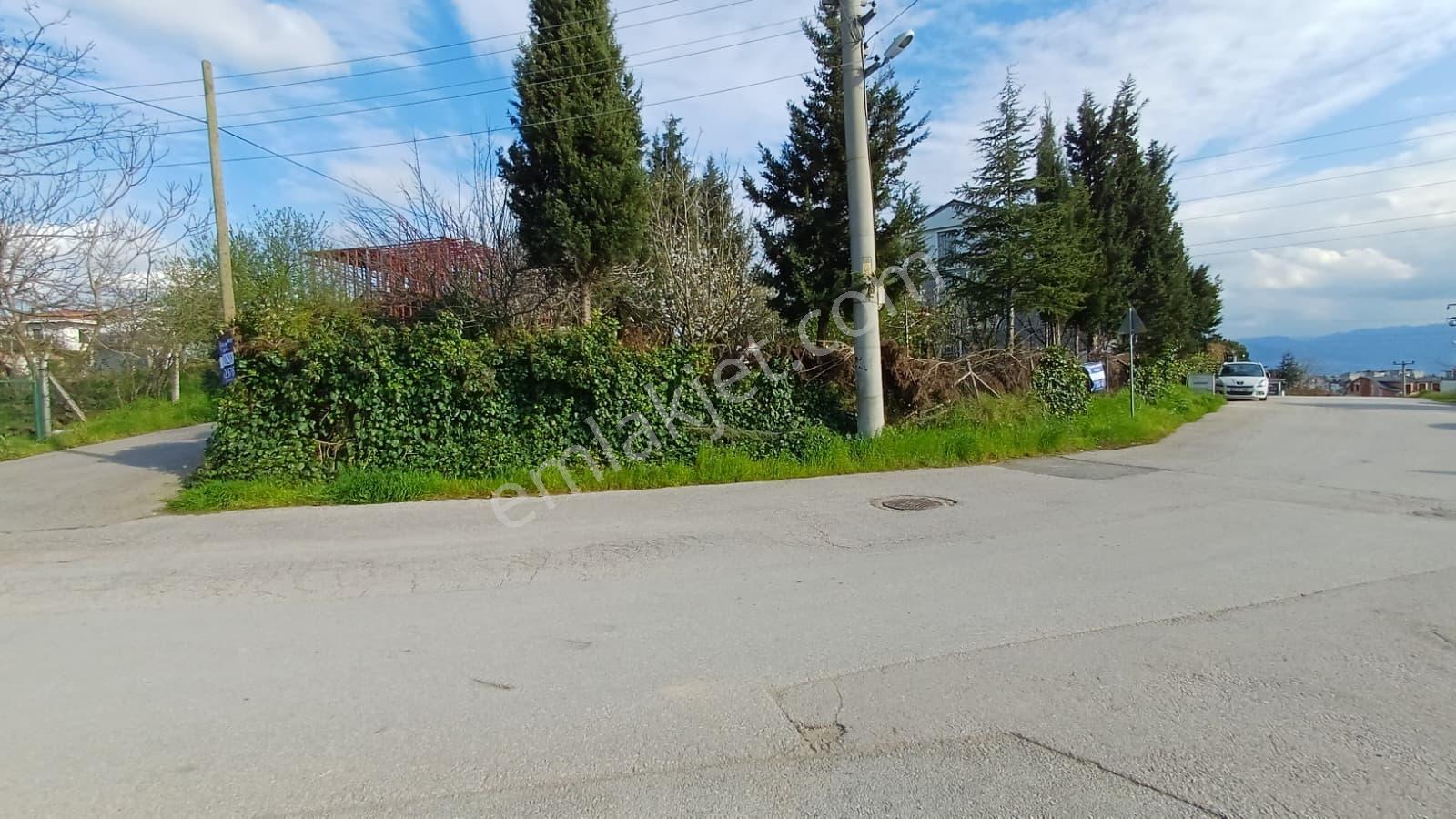 Cb Akademi Kabaoğlunda Deniz Manzaralı Köşe Parsel Villa İmarlı - Görsel 23