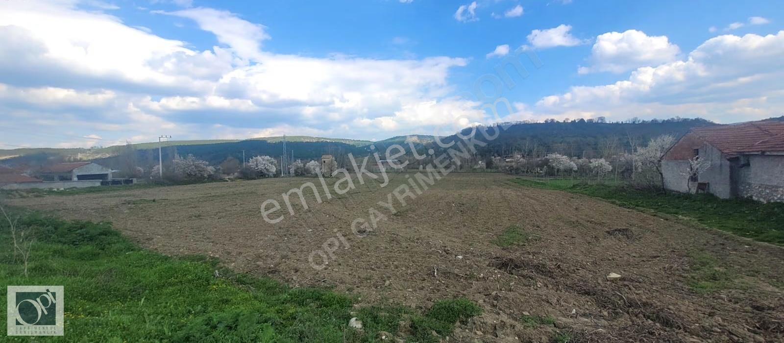 Bozüyük Saraycık'da Tesis Ve Çiftliğe Uygun Yol Kenarı 17.321 M2 - Görsel 3