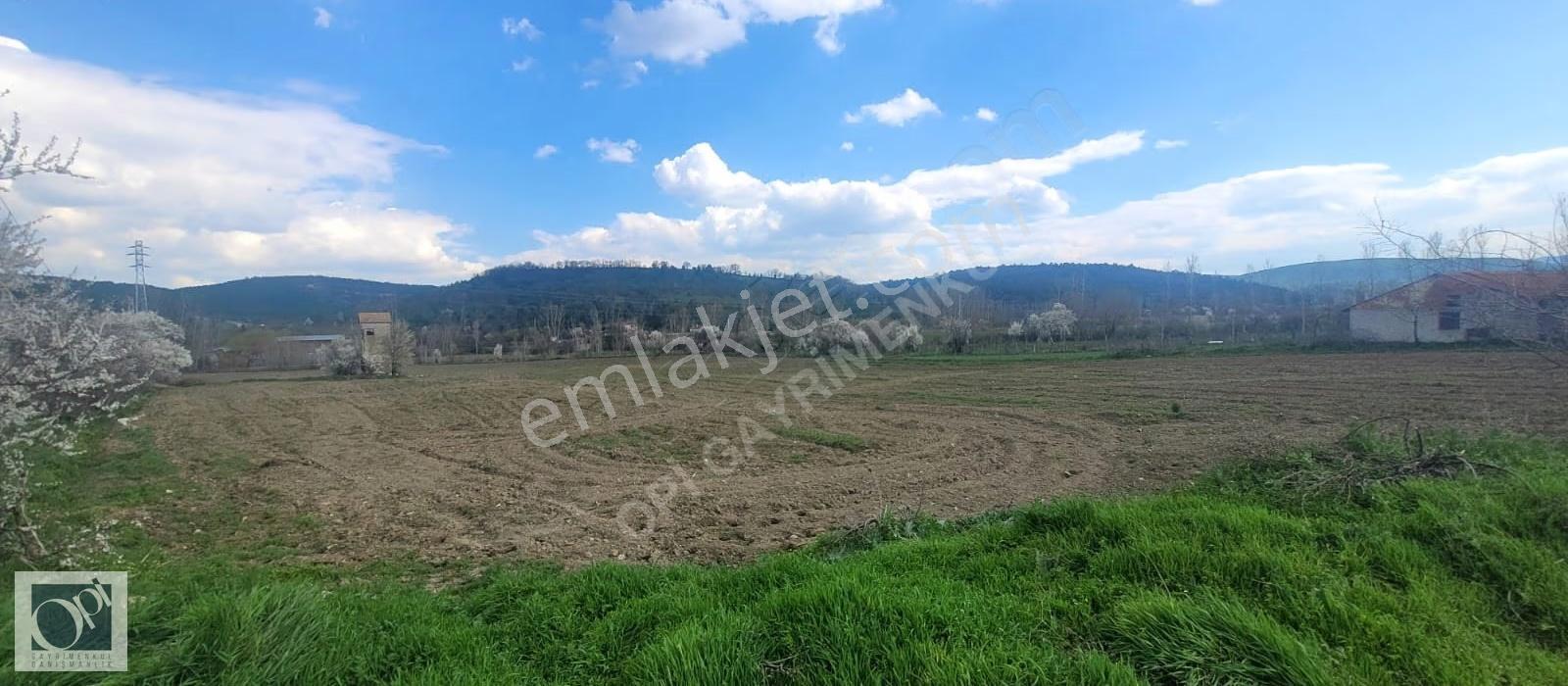 Bozüyük Saraycık'da Tesis Ve Çiftliğe Uygun Yol Kenarı 17.321 M2 - Görsel 5