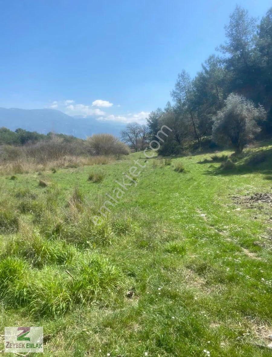 Seydikemer Eşen'de Satılık Kupon Arazi - Görsel 4