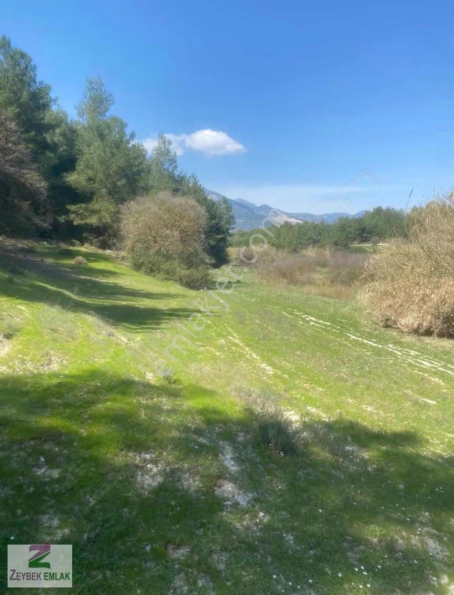 Seydikemer Eşen'de Satılık Kupon Arazi