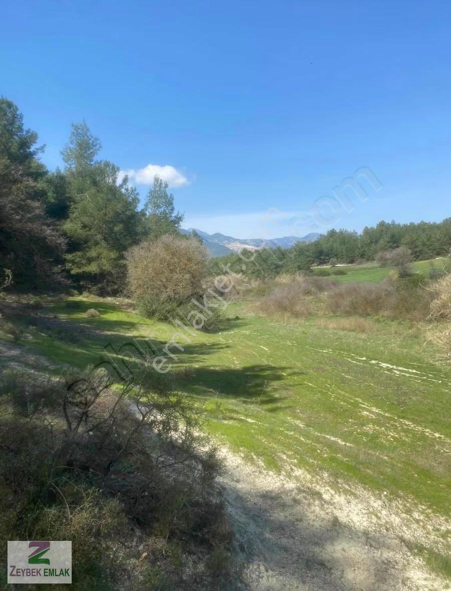 Seydikemer Eşen'de Satılık Kupon Arazi - Görsel 3