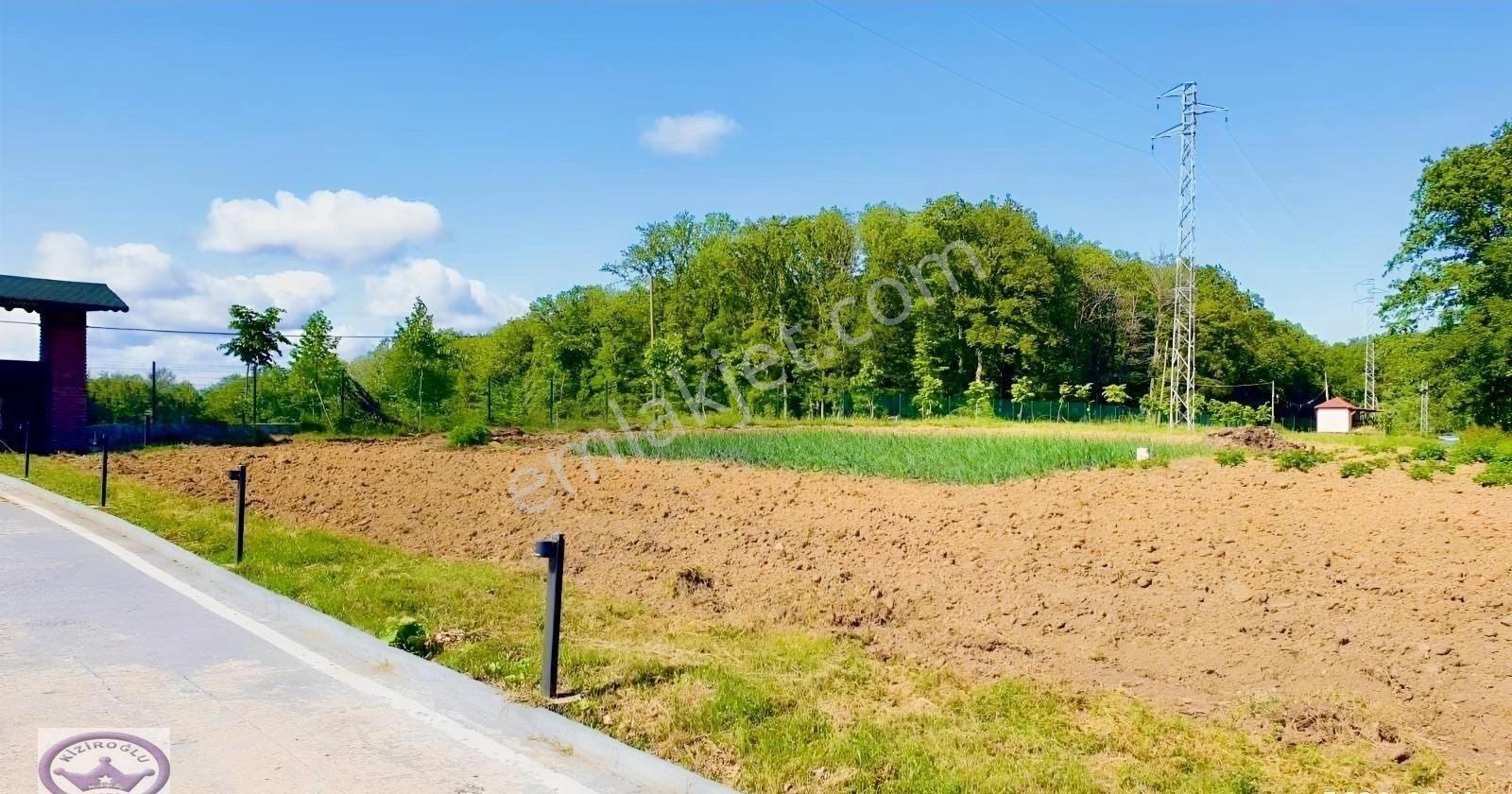 Kırklareli Demirköy Sivrilerde İskanlı 6560m2 Arazili Villa - Görsel 21