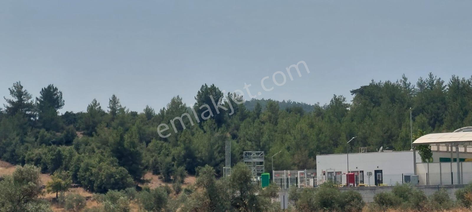 Doğayla İç İçe Yaşam İçin İdeal Satılık Villa Arsası - Görsel 12