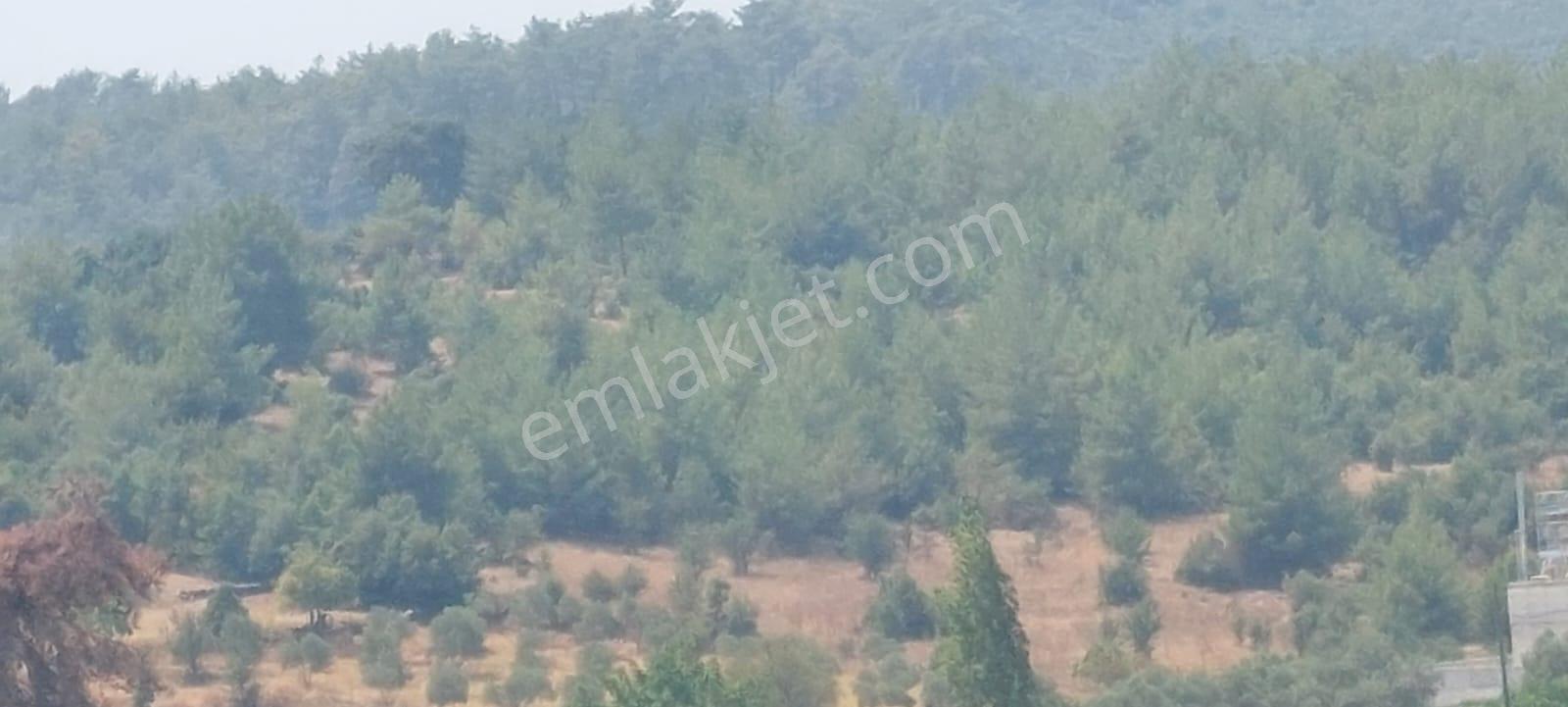 Doğayla İç İçe Yaşam İçin İdeal Satılık Villa Arsası - Görsel 13